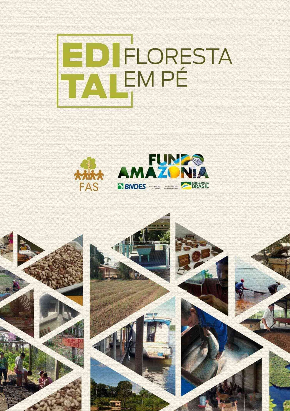 Capa de publicação feita pela Fundação Amazônia Sustentável (FAS).