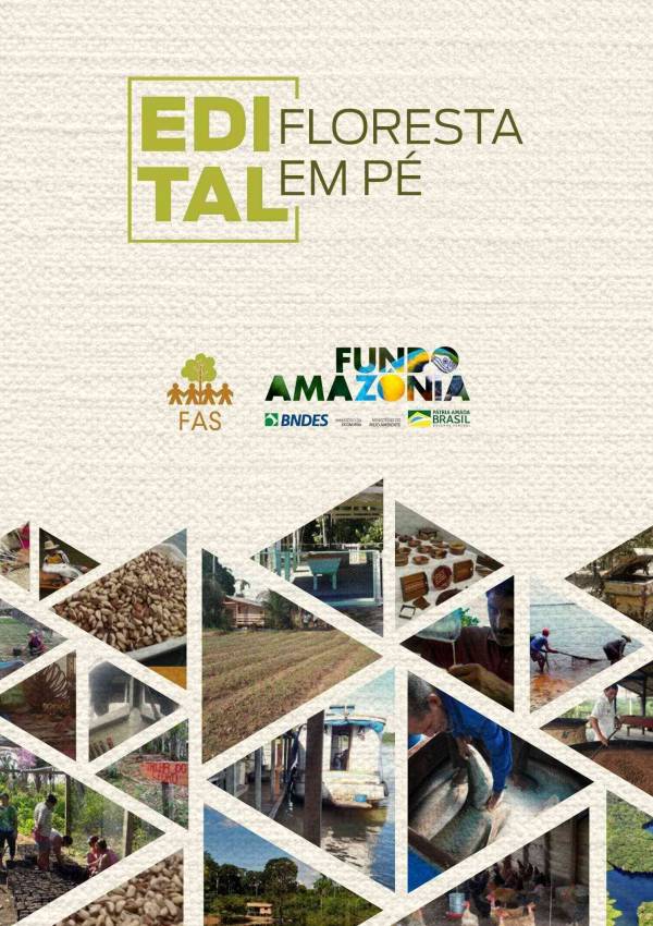 Capa de publicação feita pela Fundação Amazônia Sustentável (FAS).