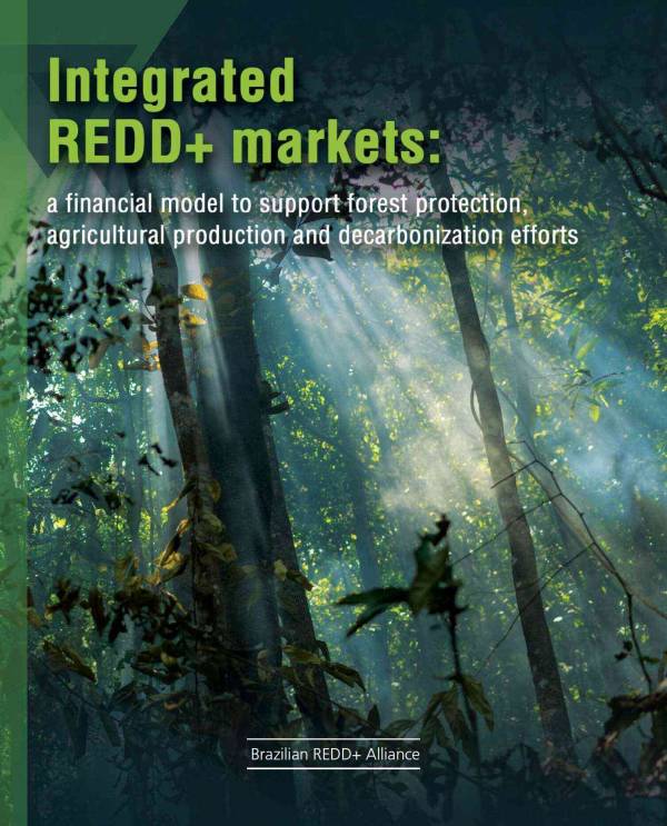 Capa de publicação feita pelo Brazilian REDD+ Alliance.