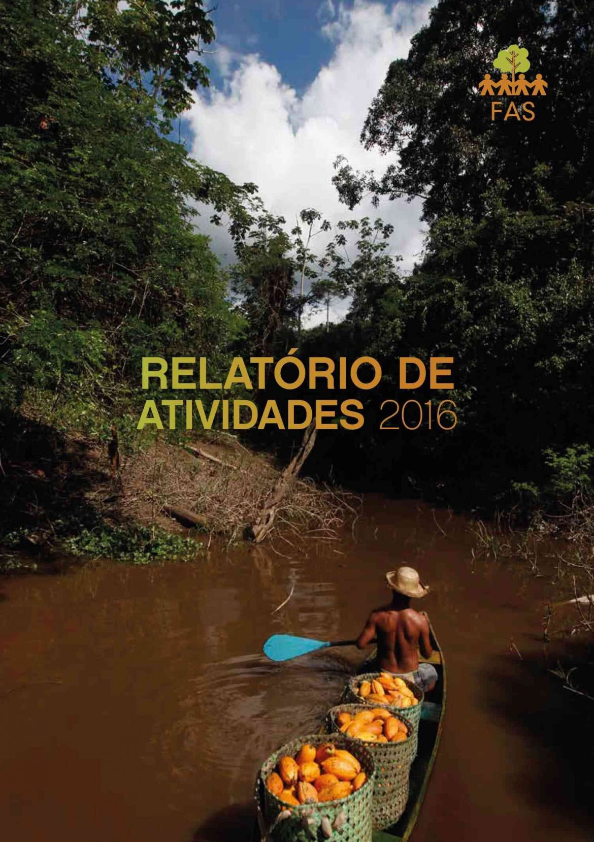 Capa de publicação feita pela Fundação Amazônia Sustentável (FAS).