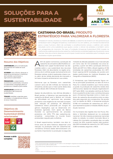 Capa de publicação feita pela Fundação Amazônia Sustentável (FAS).