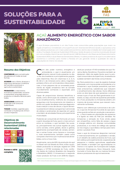 Capa de publicação feita pela Fundação Amazônia Sustentável (FAS).
