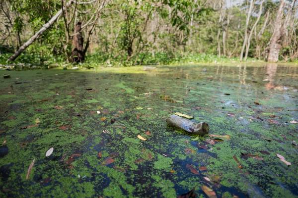 Igarapé repleto de lixo.