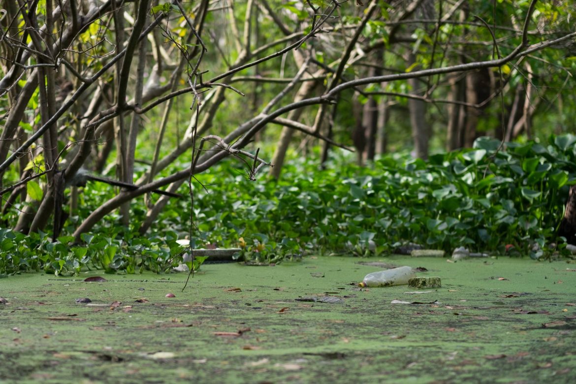 Lixos encontrados em igarapés.