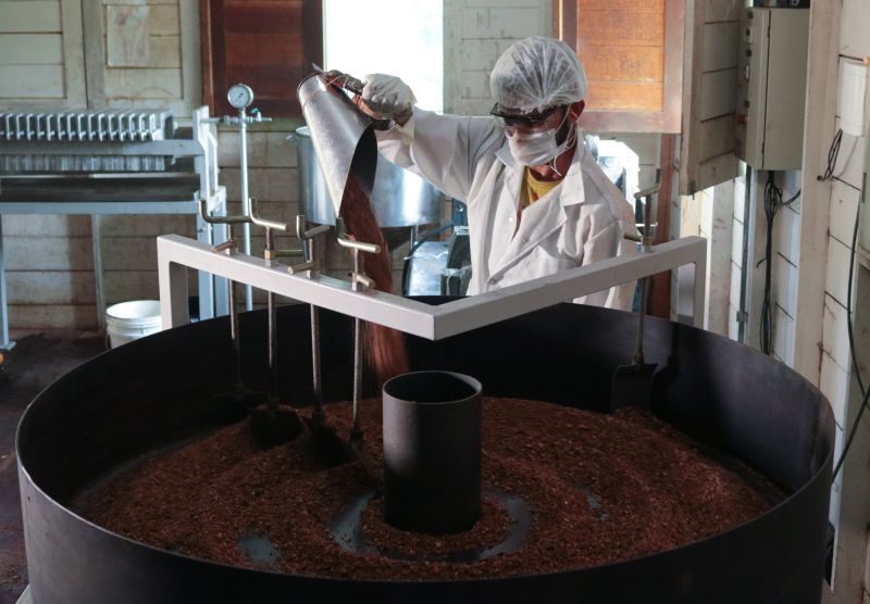 Homem fazendo o processo para criação de óleos da Amazônia.