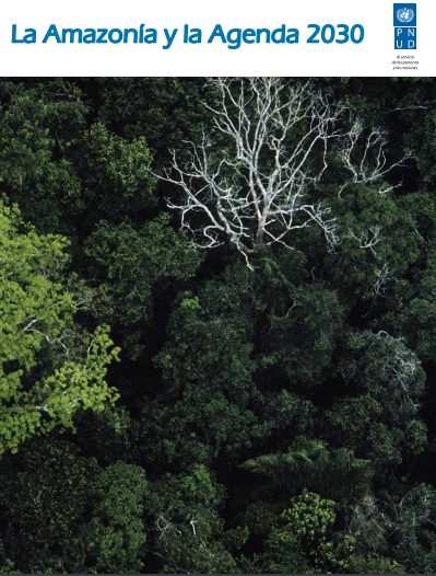 Capa de publicação feita pela Fundação Amazônia Sustentável (FAS).
