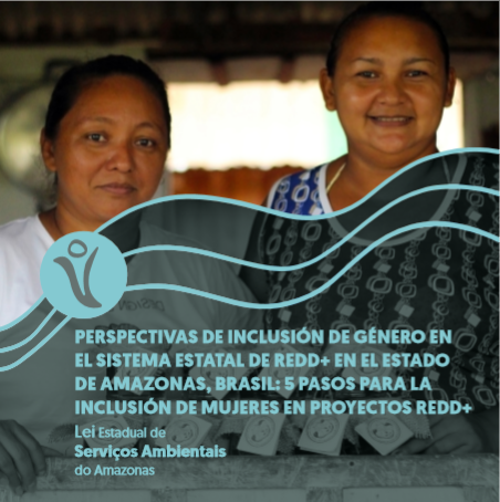 Capa de publicação em espanhol.