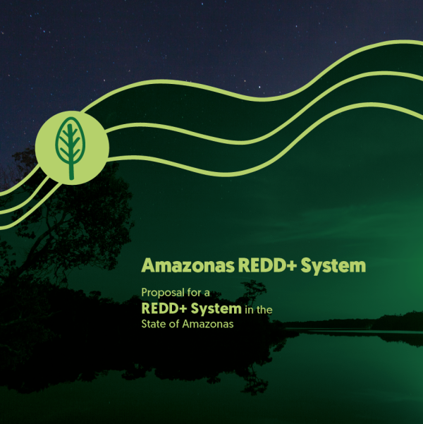 Capa de publicação feita pela Fundação Amazônia Sustentável (FAS).