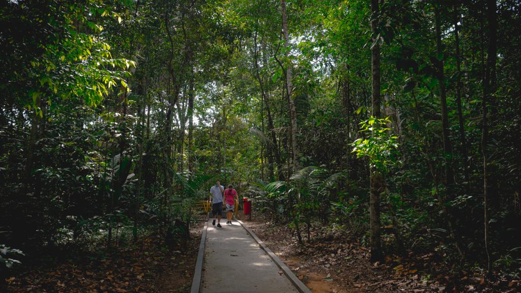 Casal fazendo trilha.