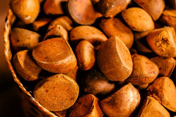 Castanha da Amazônia.