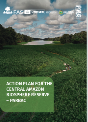 Capa de publicação em inglês criada pela Fundação Amazônia Sustentável (FAS).