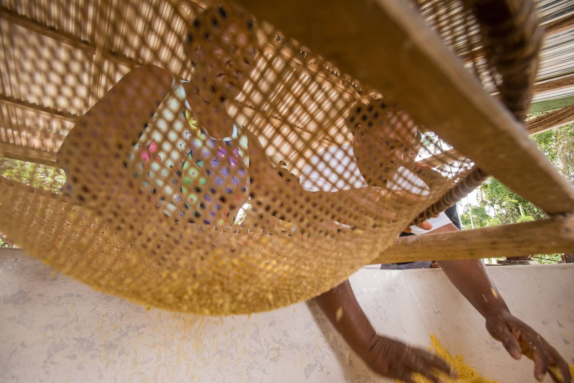 Mulheres fazendo farinha.