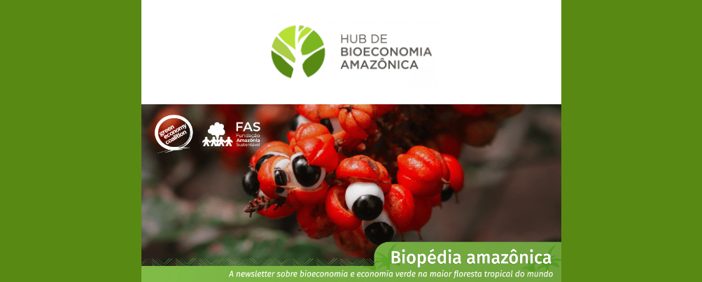 Imagem do Guaraná, fruta típica da Amazônia.