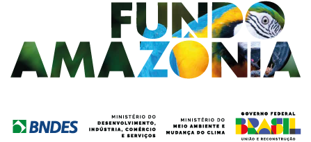 Logo Fundo Amazônia.