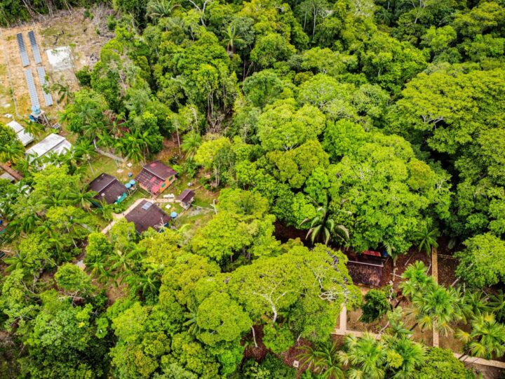 Comunidades amazônicas são beneficiadas com sistema de energia solar que fortalece empreendedorismo sustentável