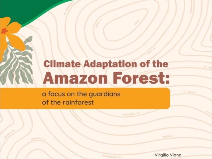 Climate Adaptation of the Amazon Forest: a focus on the guardians of the rainforest